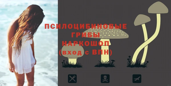 прущие грибы Алексеевка