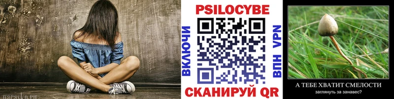 Псилоцибиновые грибы Cubensis  даркнет формула  Кизел  цены  