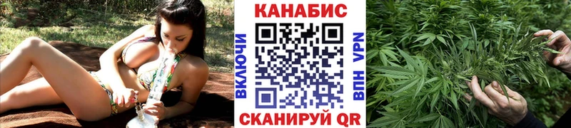 hydra Кизел Бошки Шишки гибрид